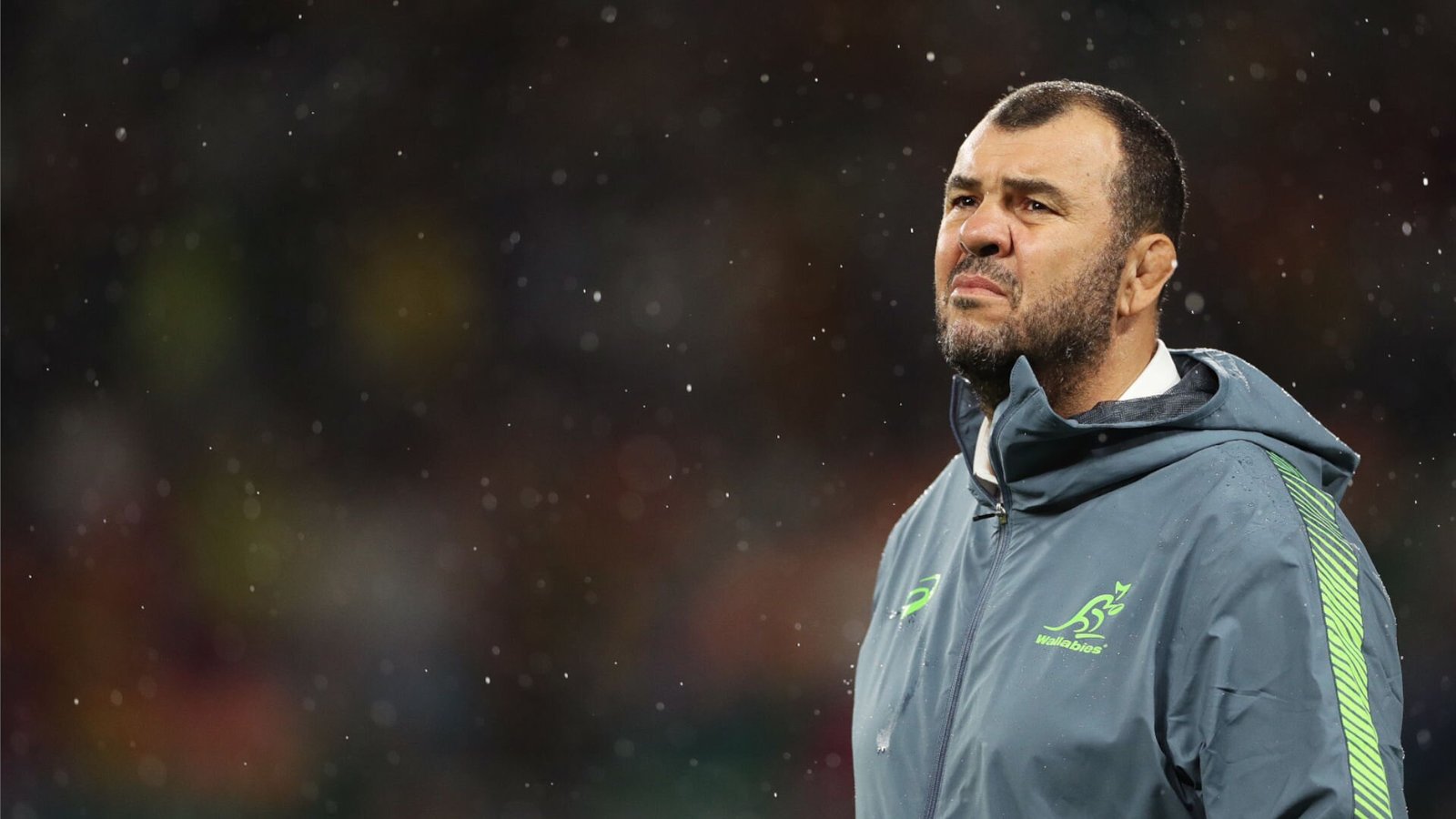 Phil Waugh on the potential return of Michael Cheika: 'Everyone's in the hunt'